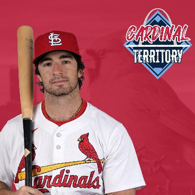 Masyn Winn returns: How will Cardinals balance their middle infield logjam? Masyn Winn returns: How will Cardinals balance their middle infield logjam?