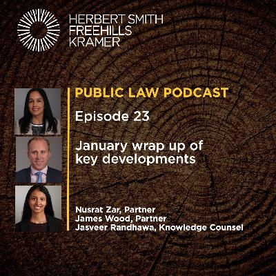 Public Law Podcast EP23: January wrap up of key developments