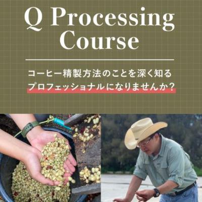 92. Q Processing Course のご案内