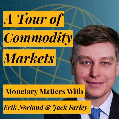 Why Metals Are Soaring While Oil Stalls | CME Chief Economist Erik Norland on Precious Metals, Oil, Copper, and More Why Metals Are Soaring While Oil Stalls | CME Chief Economist Erik Norland on Precious Metals, Oil, Copper, and More