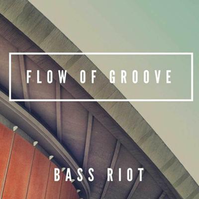 Bass Riot - Future House (Flow Of Groove) [Future House Music]
