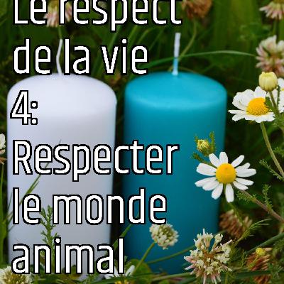 Le respect de la vie 4:  Respecter le monde animal