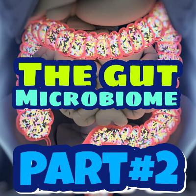 Part 2 of 4 - Dr. Gut, The Gut Microbiome