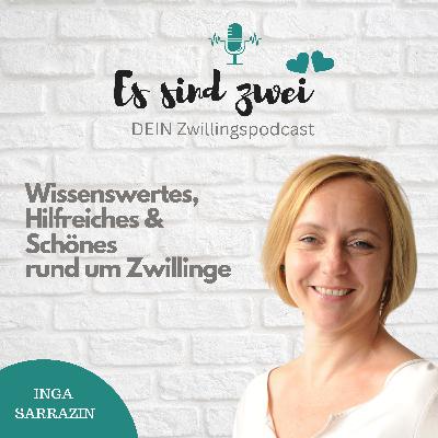 Alleinerziehend mit Zwillingen meistern 3/17