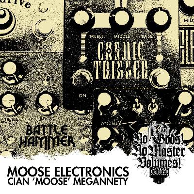 34 Moose Electronics
