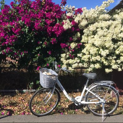 EP42|自行車|南投埔里【順騎自然】以低碳永續貼近在地體驗,邊騎邊吃漫遊小鎮 EP42|自行車|南投埔里【順騎自然】以低碳永續貼近在地體驗,邊騎邊吃漫遊小鎮