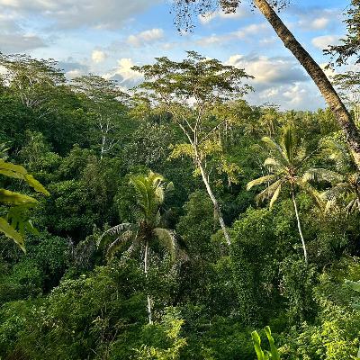 Ep. 26 The Cord Cutting