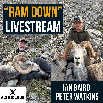 #66 - "Ram Down" Series - Ian Baird & Peter Watkins - Doubled Down on Stone Sheep #66 - "Ram Down" Series - Ian Baird & Peter Watkins - Doubled Down on Stone Sheep