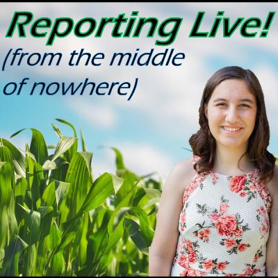 Minimum Wage (not the song) Minimum Wage (not the song)