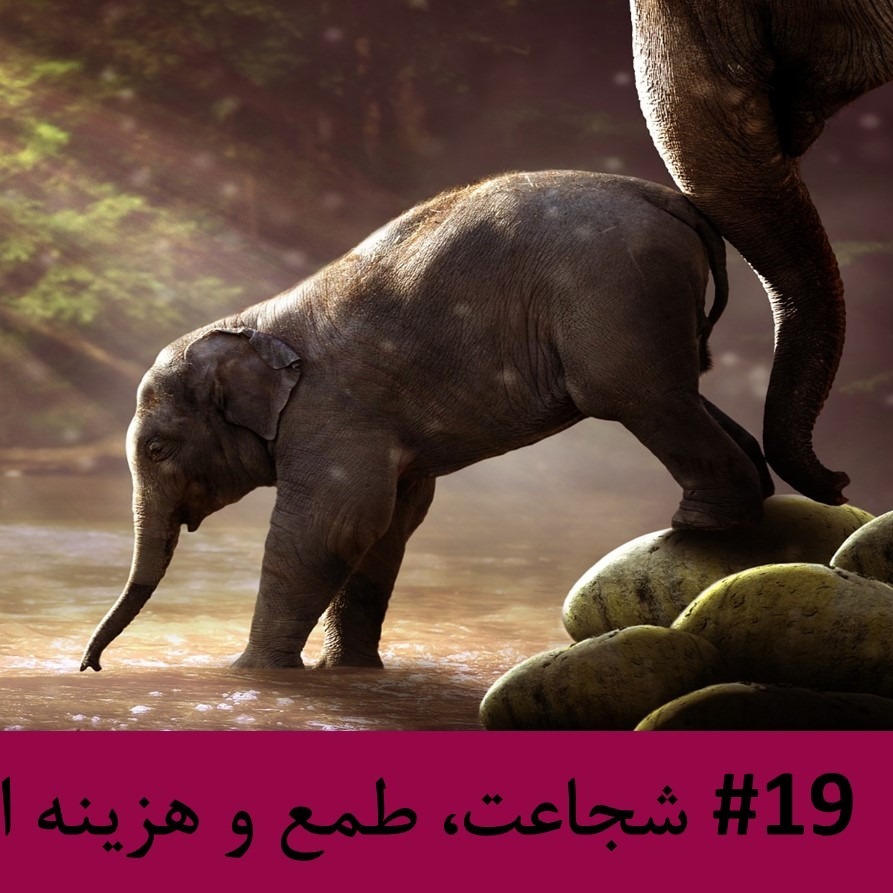 رادیو متروک - قسمت #19 : شجاعت، طمع و هزینه از دست رفته