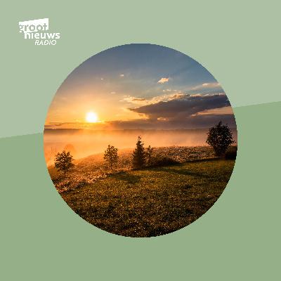 Groot Nieuws uit de natuur 102 Zandbijen