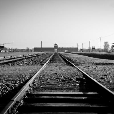 Methods of Madness: Auschwitz Human Experimentation