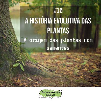 A história evolutiva das plantas #10: A origem das plantas com sementes - Botanicamente falando