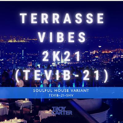 Episode 2: Troy Carter presents - Terrasse Vibes 2K21- TEVIB-21 - (Soulful House Variant)