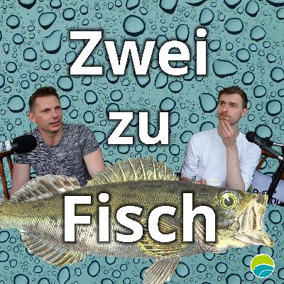 Die "folgende" Folge