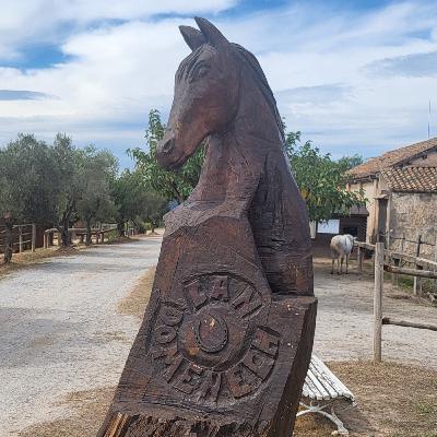 30. Can Domènech, del tomàquet Mandó a l'hípica i els rucs