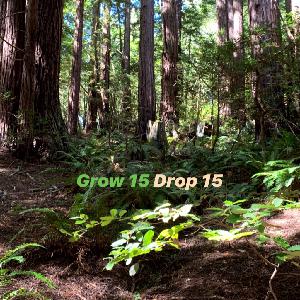 Ep. 13 - Grow 15, Drop 15 Ep. 13 - Grow 15, Drop 15