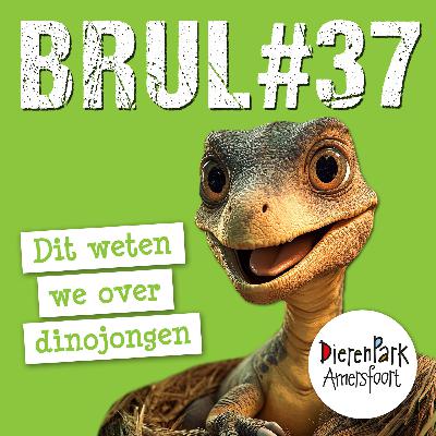 Dit weten we over dinojongen 🦖 | BRUL #37