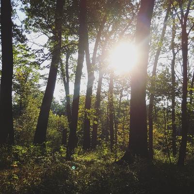 VV; To Keep The Peace✌️(Playlist)