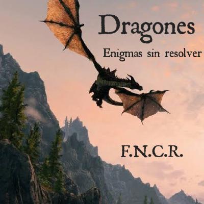 Dragones, enigmas sin resolver.
