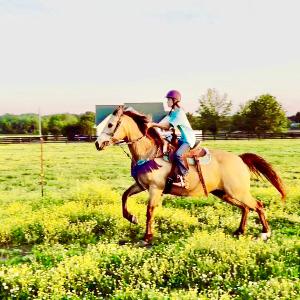 Priorities and What should we put on top