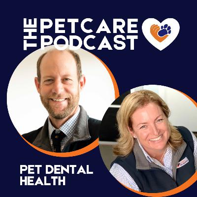 Pet dental health, rehabilitation after surgery and how to manage separation anxiety Pet dental health, rehabilitation after surgery and how to manage separation anxiety