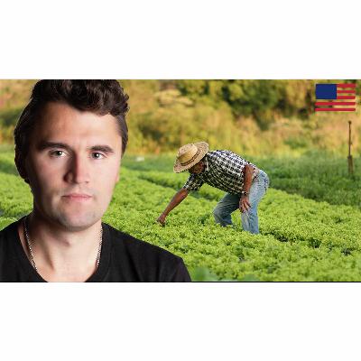 Mass Amnesty v. Mass Deportations