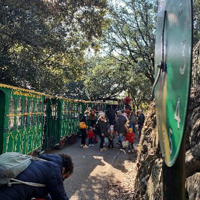 Aspettando il Natale passeggiando nella "Città della Domenica" di Perugia