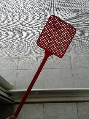 Escape of the Flies Escape of the Flies