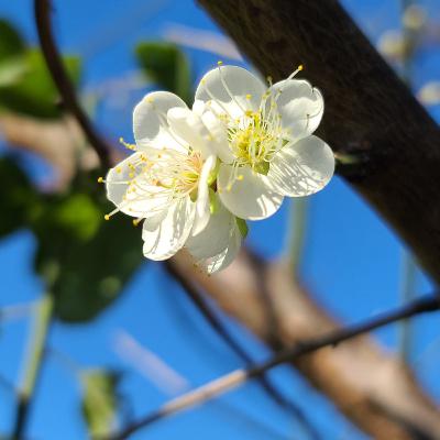 EP.14 法國超級斜槓歌手 Carla Bruni EP.14 法國超級斜槓歌手 Carla Bruni