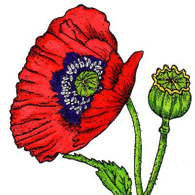 E0: An intro to Jemma and Kim