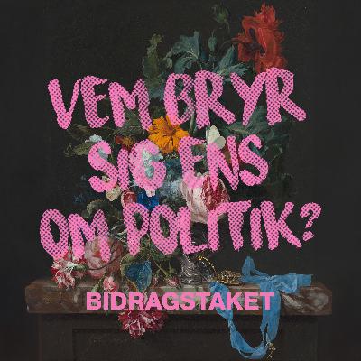 1: Bidragstaket