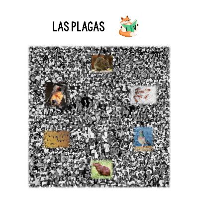 NV16: ¿Qué especie es una "plaga"? - Luis Torres