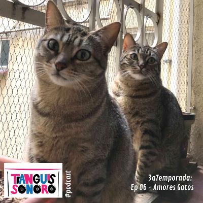 T3-Ep026: Amores Gatos T3-Ep026: Amores Gatos