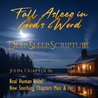John, Chapter 16 – 30 min. Deep Sleep Scripture Sleep Bible Chapters