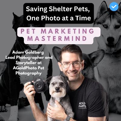 Saving Shelter Pets, One Photo at a Time - Adam Goldberg - Storyteller at AGoldPhoto