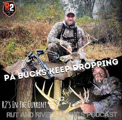 PA Bucks Keep Dropping - R2's In The Current