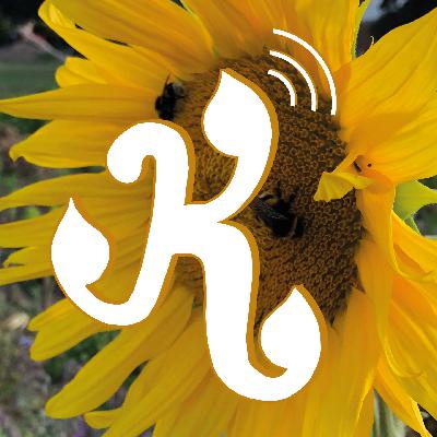 Episode #12 Here comes the Sunflower