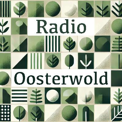 #30 Cultuur in de polder: Boukje Schweigman vindt vrijheid binnen de kaders
