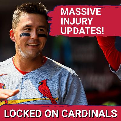 HEALTH WATCH: St. Louis Cardinals Spring Training REVEALS Dobbins, Nootbaar & Herrera Developments HEALTH WATCH: St. Louis Cardinals Spring Training REVEALS Dobbins, Nootbaar & Herrera Developments