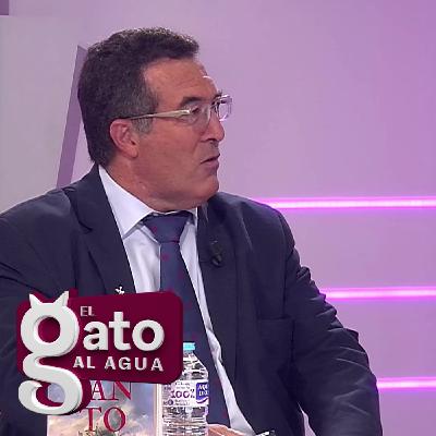 El Gato al Agua | 31/10/25