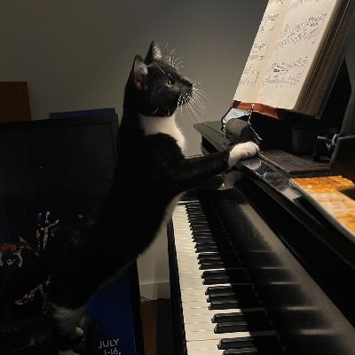 与阿布聊爵士与古典｜阿布，王乐游，卡普斯汀，巴伯