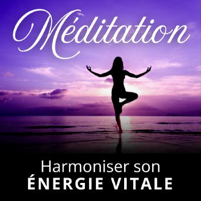 Méditation Guidée | Harmoniser son ÉNERGIE VITALE