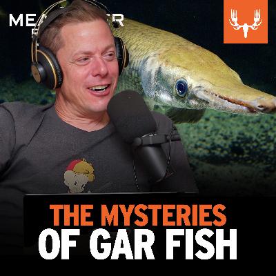 Ep. 793: The Mysteries of Gar Fish Ep. 793: The Mysteries of Gar Fish