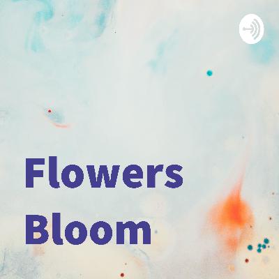Flowers Bloom (Trailer)