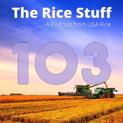 #103 The 87th International Rice Festival