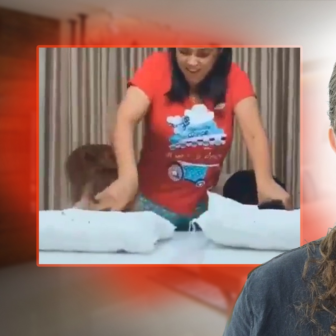 Mulher faz desafio da farinha com cachorros e se dá mal episode artwork