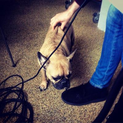 90 Simon Casier (Zimmerman, Balthazar, Douglas Firs, Senne Guns) 90 Simon Casier (Zimmerman, Balthazar, Douglas Firs, Senne Guns)