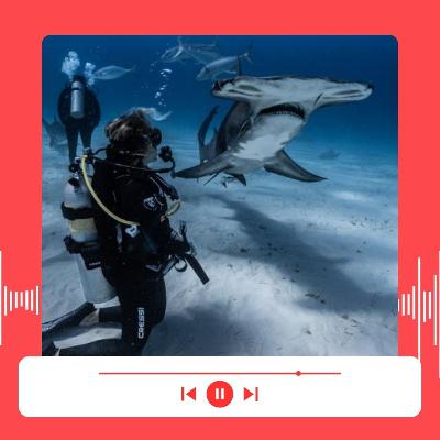 De una vida que no encajaba a fundar Entre Azules: el viaje de Ana Hernández Sarriá