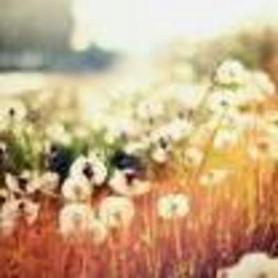 Предизвикателства за всеки